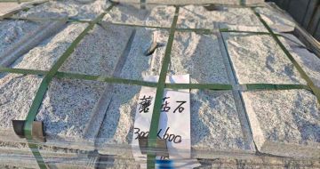 鄂尔多斯芝麻白蘑菇石，自然面